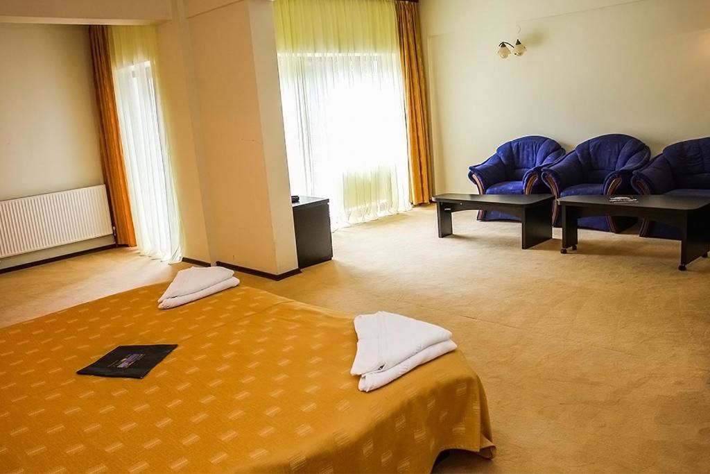 Отель Hotel Poiana Ursului Пояна-Брашов-20