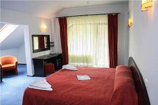 Отель Hotel Poiana Ursului Пояна-Брашов Улучшенный номер с кроватью размера «king-size»-1